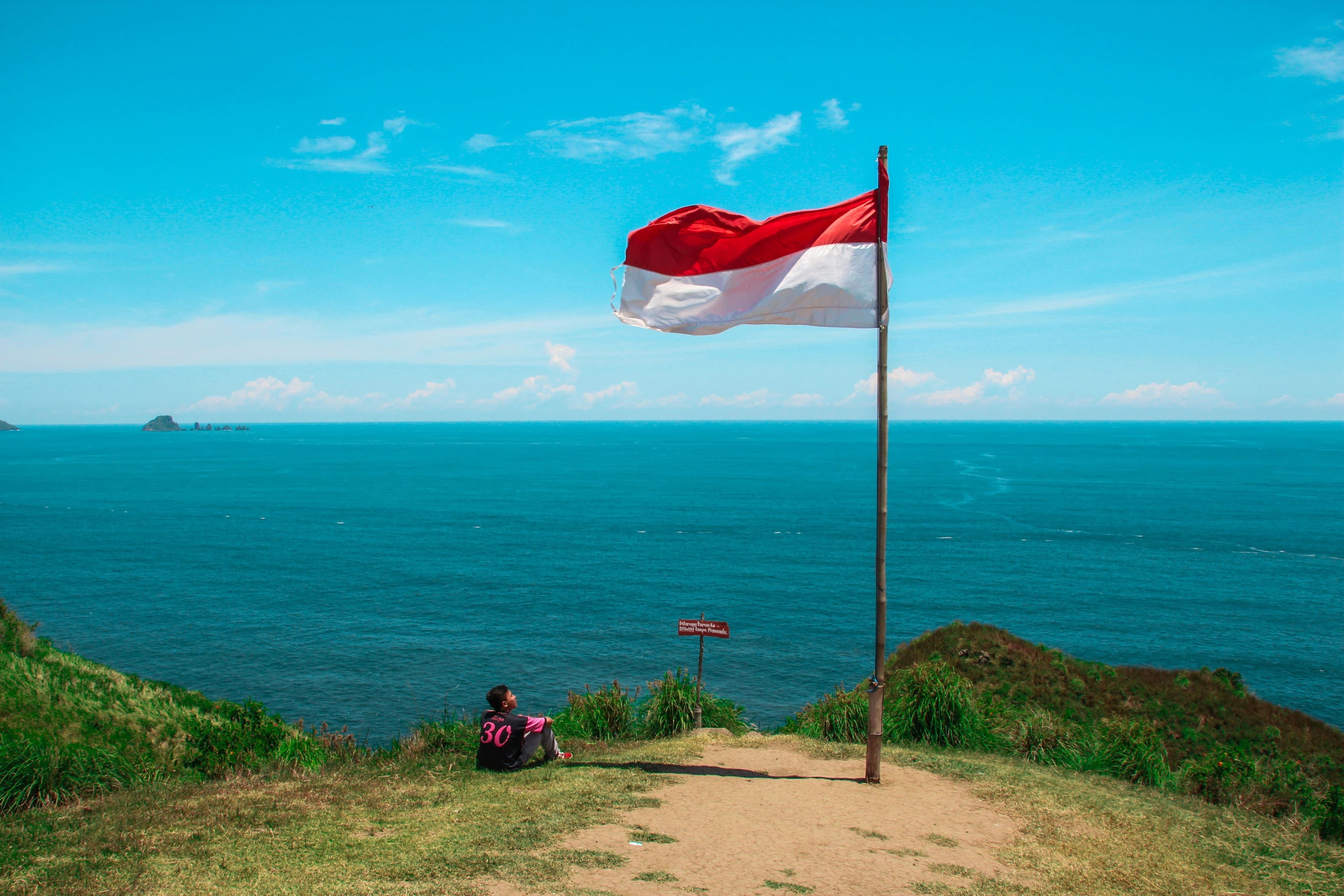 Indonesia - image 2