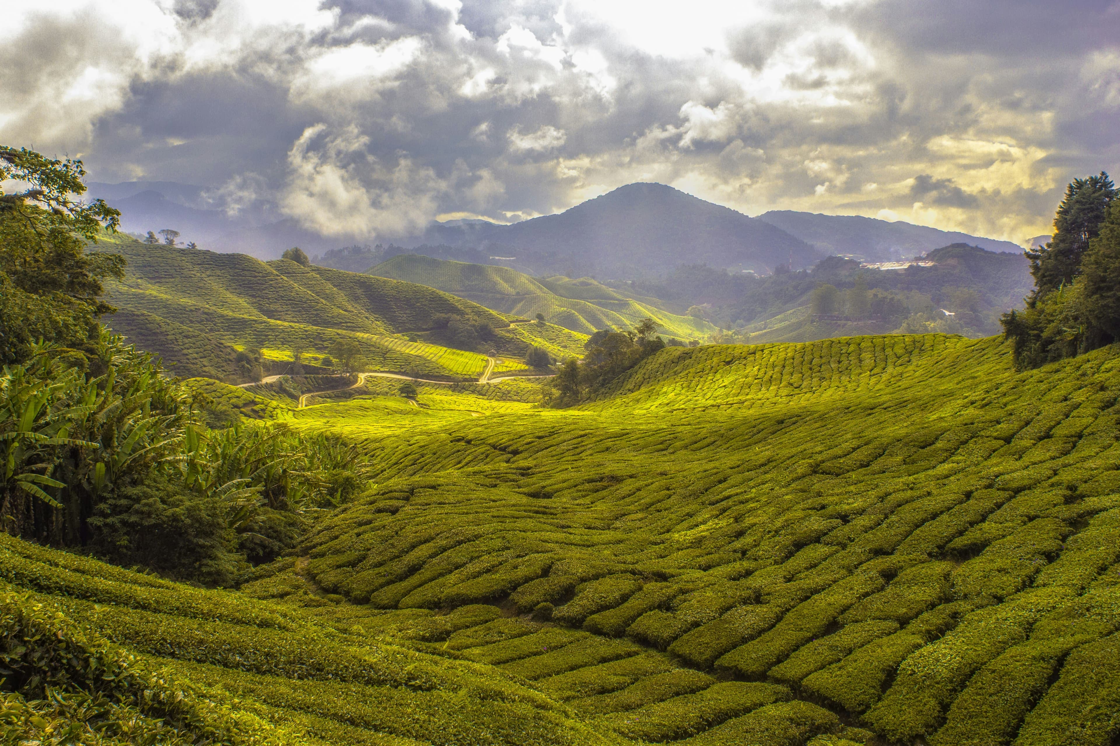 Malaysia - image 2