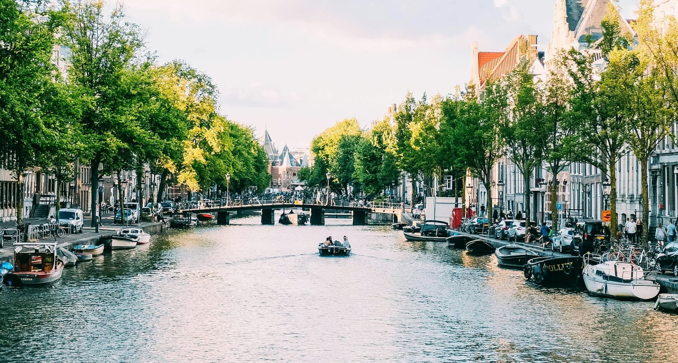 Neatherlands - main image