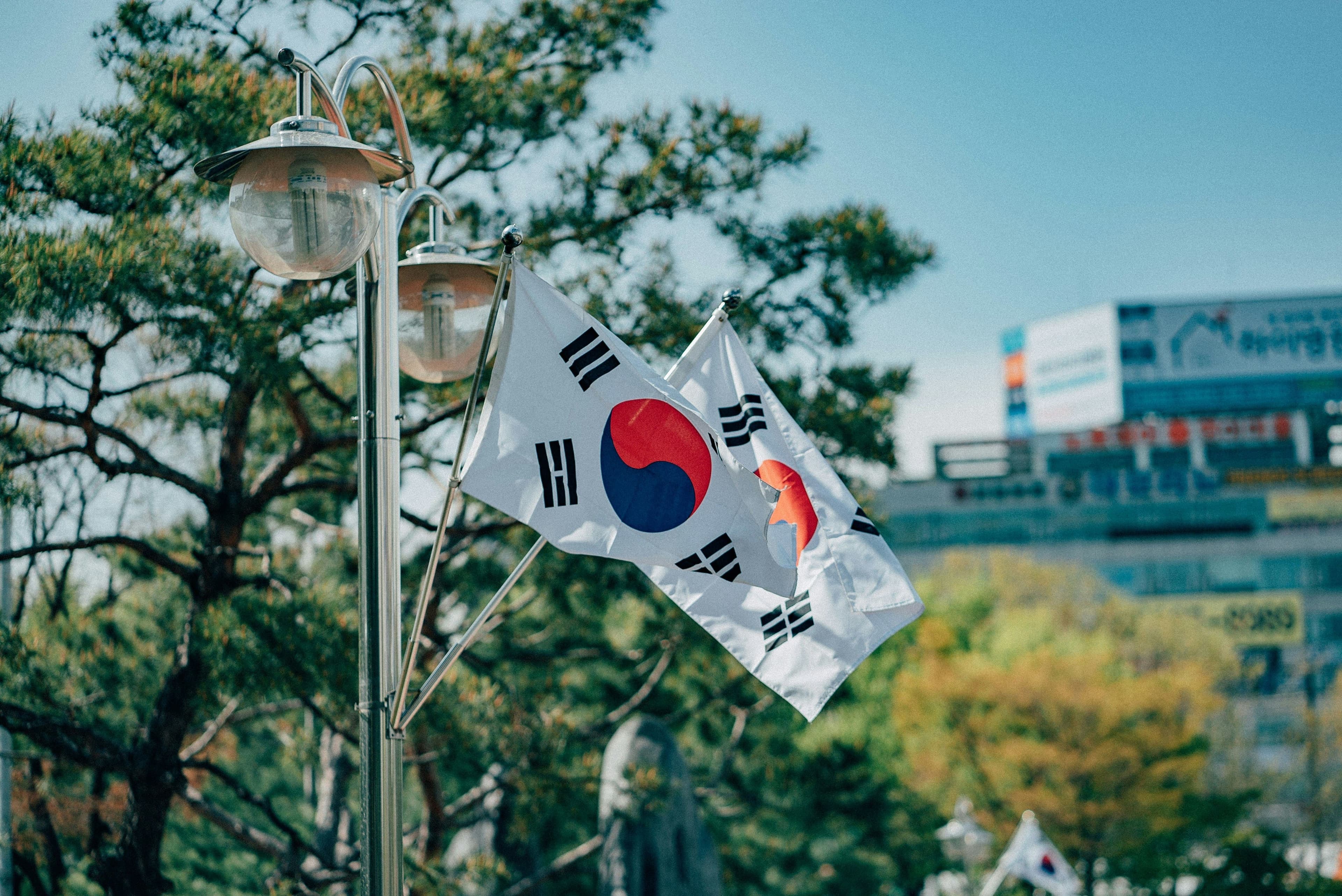 South Korea - image 2